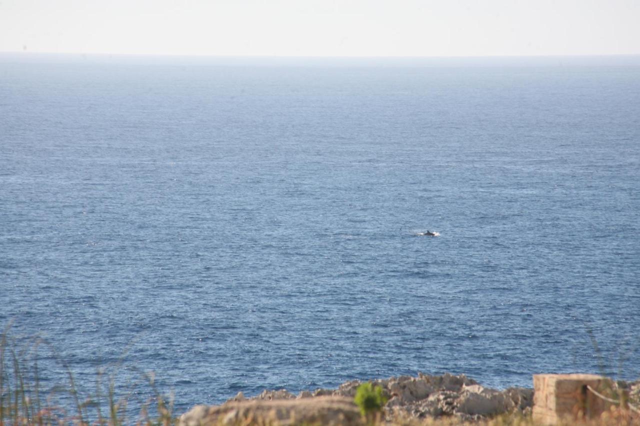 Villa Victor - Primera Linea Mar, Vista A Puesta De Sol Cala'N Blanes  Eksteriør billede
